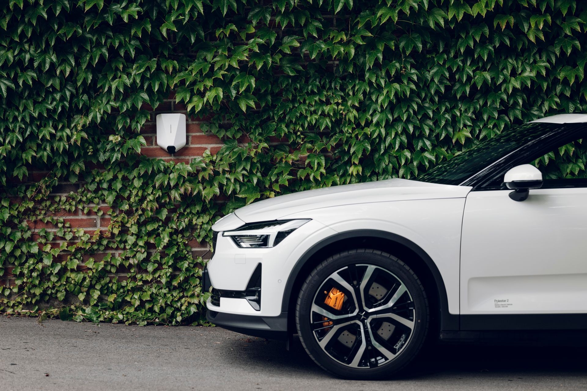 White electric car parked near a wall covered with green ivy.